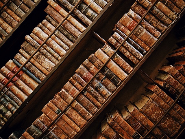 Gemütliche Sitzmöbel in der Bibliothek