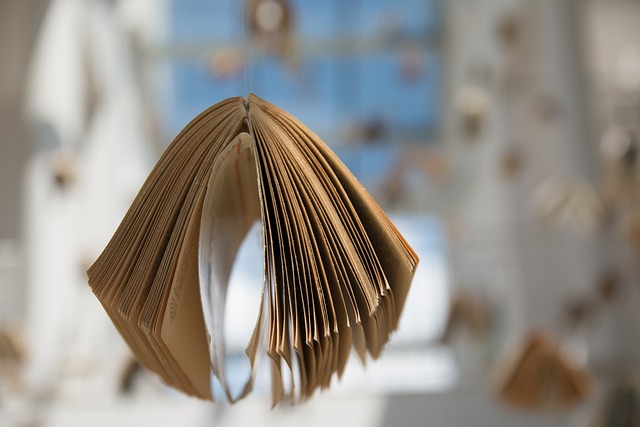 Digitalisierung von Bibliotheksbeständen Digitalisierung von Bibliotheksbeständen